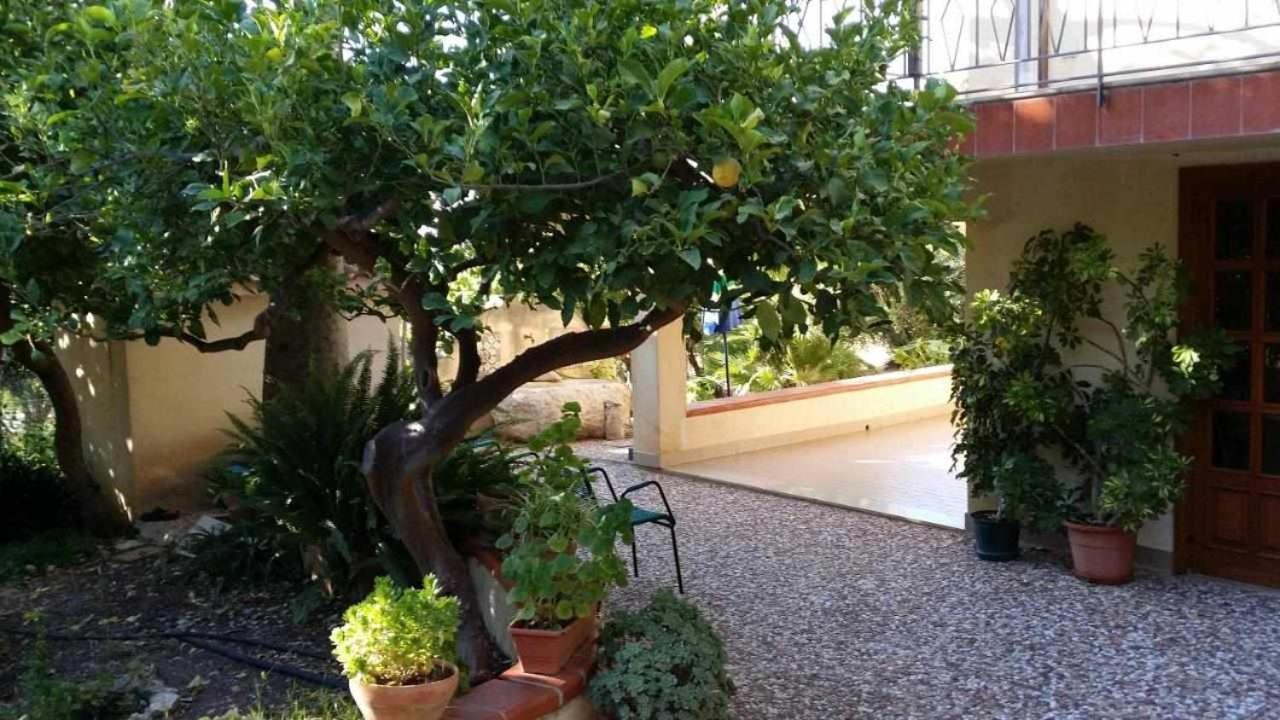 Casa Rosalba Vila San Vito Lo Capo Exterior foto